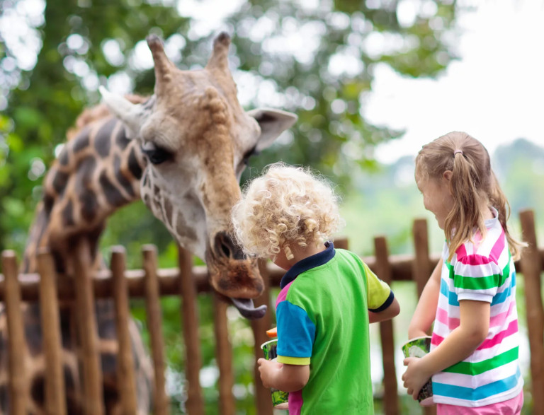 media.Slide-Safari-Ravenna_ClubFamilyHotel